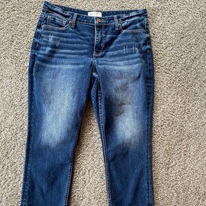 BKE Jeans Size 30 Gabby Curvy Fit High Rise Stretch Blue Denim Pants